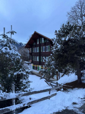 Chalet Schluecht